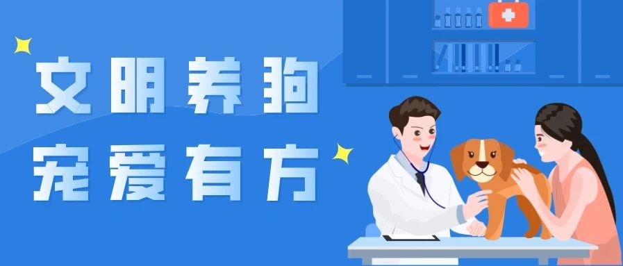 文明養狗，寵愛有方！福鼎發布關于加強城區公共場所養犬管理的通告