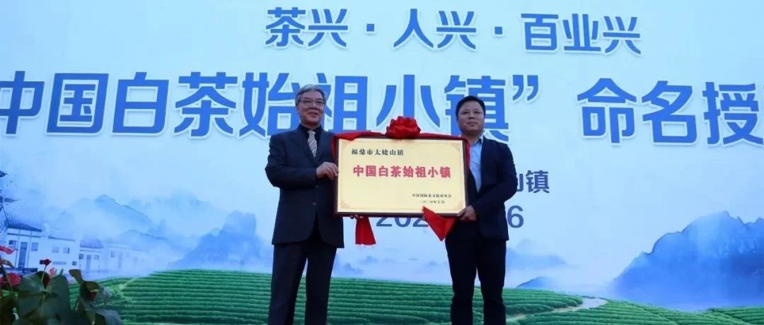 贊！太姥山鎮獲“中國白茶始祖小鎮”稱號