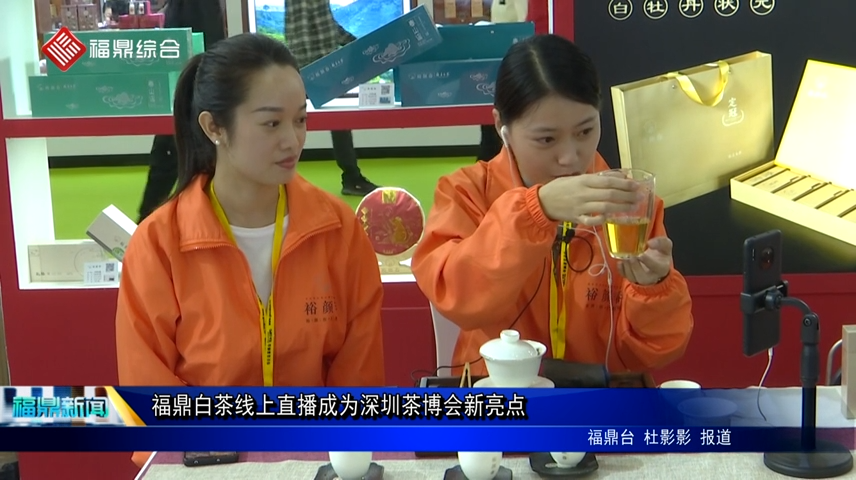 福鼎白茶線上直播成為深圳茶博會新亮點