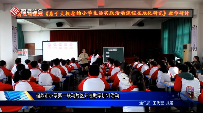 教學開放顯魅力  聯動教研促成長