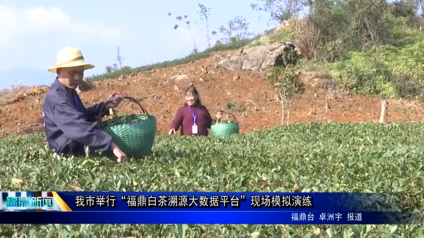 我市舉行“福鼎白茶溯源大數據平臺”現場模擬演練