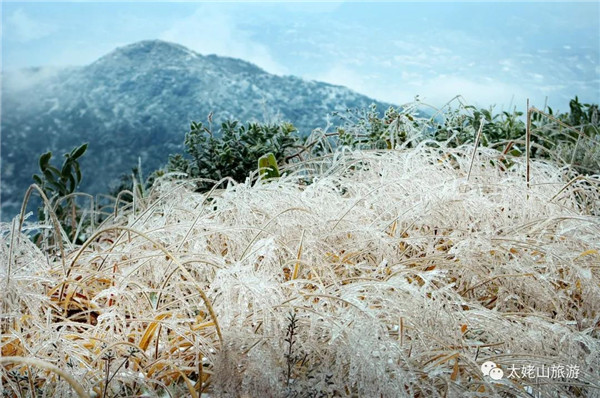 冬日的太姥山，帶你走進“水晶童話世界”