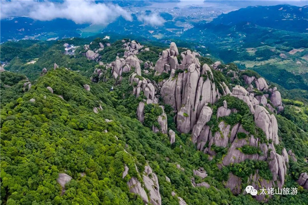 央視“尋根太姥山”，探秘福鼎白茶之源（附視頻）