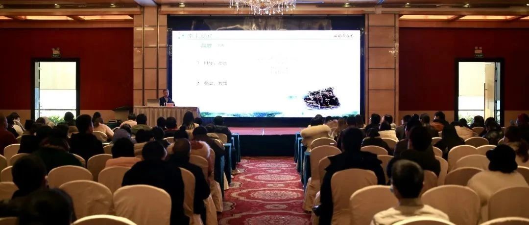 一場有關福鼎白茶品牌之路的講座，都說了啥？