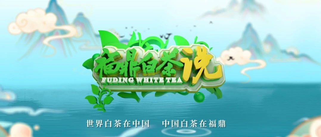 重磅！全新茶業(yè)類訪談資訊節(jié)目《福鼎白茶說》今晚亮相！