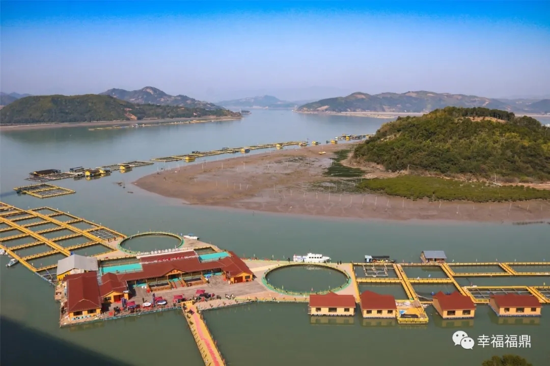 很火！佳陽“海上田園”成為新晉網紅打卡點