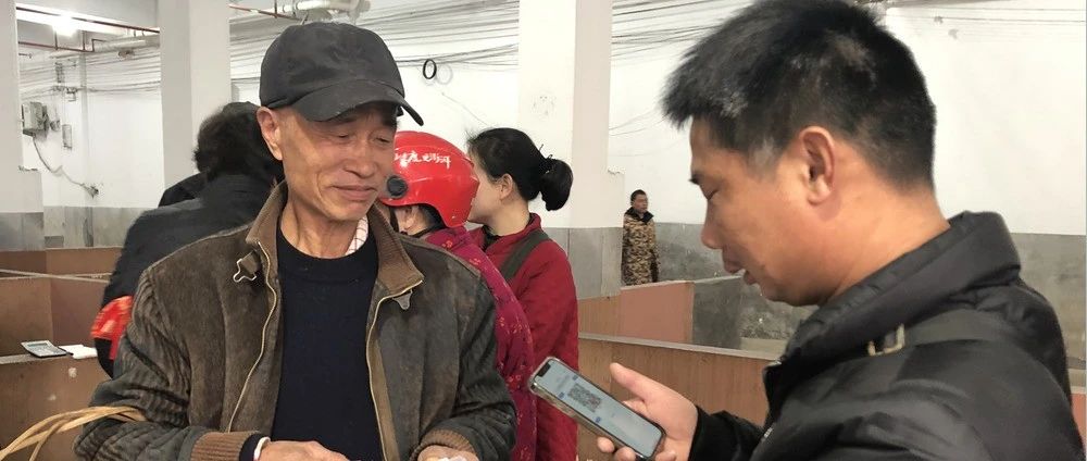 福鼎白茶大數據溯源平臺系統?今日正式啟動！