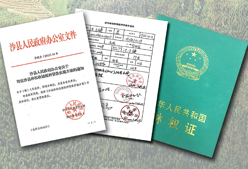 習近平福建行丨走進沙縣農(nóng)村產(chǎn)權(quán)交易中心看“林改”