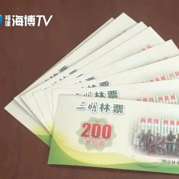 三明林改：林票是個什么票？