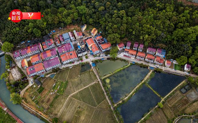 習近平福建行丨百味沙縣 魅力俞邦——走進沙縣小吃第一村