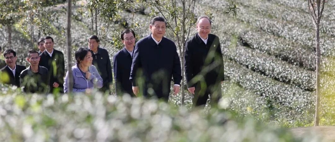 習近平：沒有中華五千年文明，哪有我們今天的成功道路