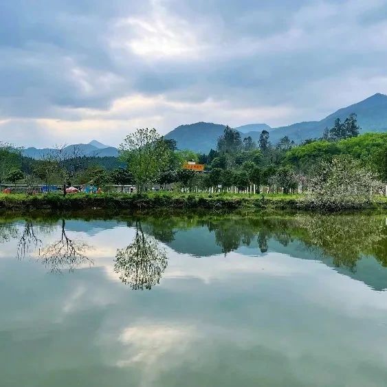 第12次赴三明調(diào)研，習近平關(guān)注這些民生大事
