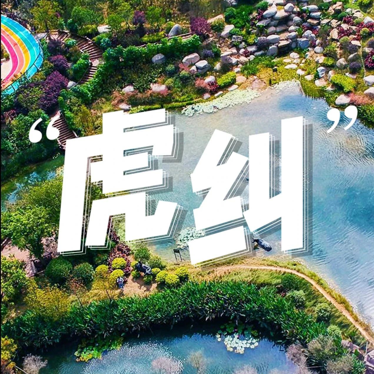 七溜八溜，不離“虎糾”！