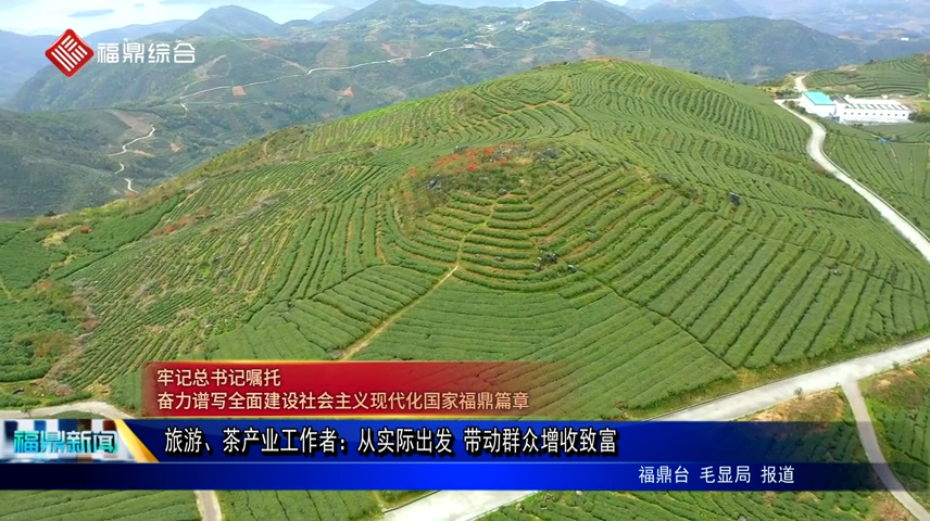 旅游、茶產業工作者：從實際出發 帶動群眾增收致富