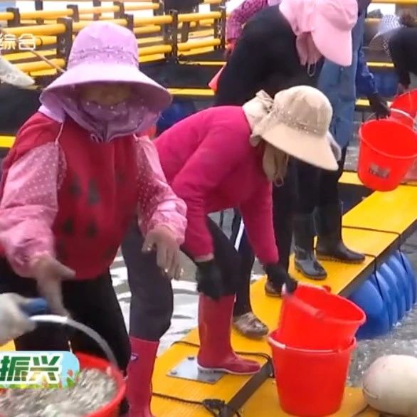 再學習 再調研 再落實丨科技特派員：傳播“科技星火”，助力產業“生金”