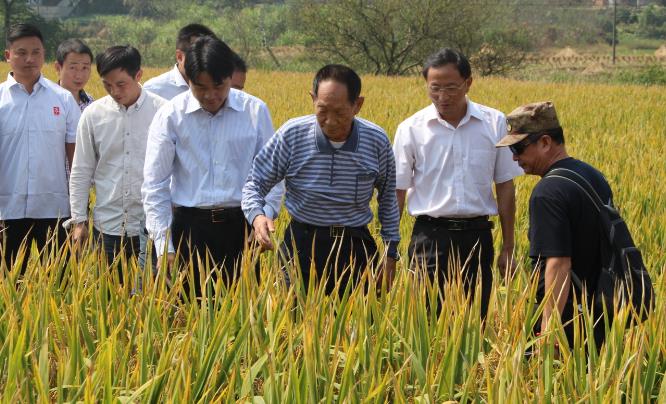 痛別！中國“雜交水稻之父”袁隆平逝世