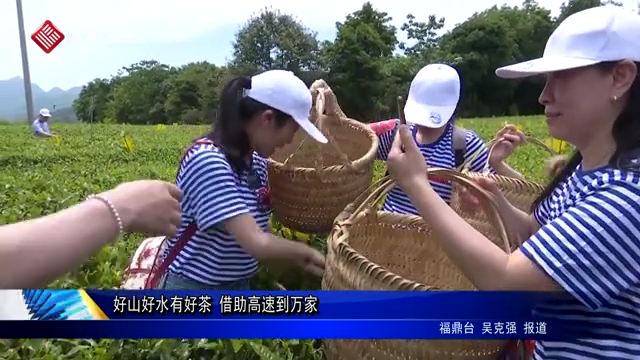 好山好水有好茶 借助高速到萬家