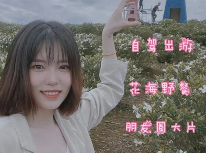 遇見一片“花海”！周末打卡地快快收藏~