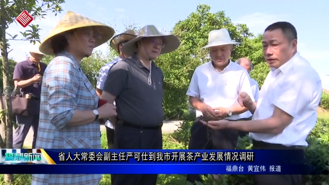 省人大常委會(huì)副主任嚴(yán)可仕到我市開展茶產(chǎn)業(yè)發(fā)展情況調(diào)硏