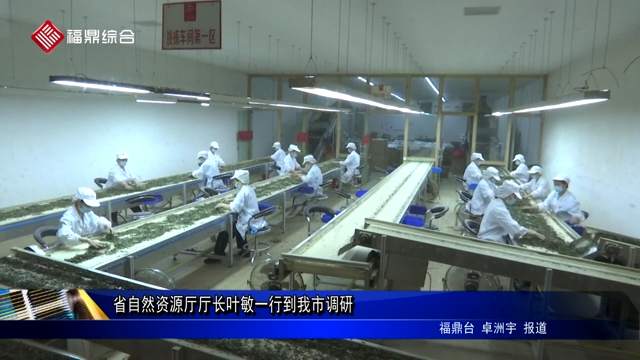 省自然資源廳廳長葉敏一行到我市調研