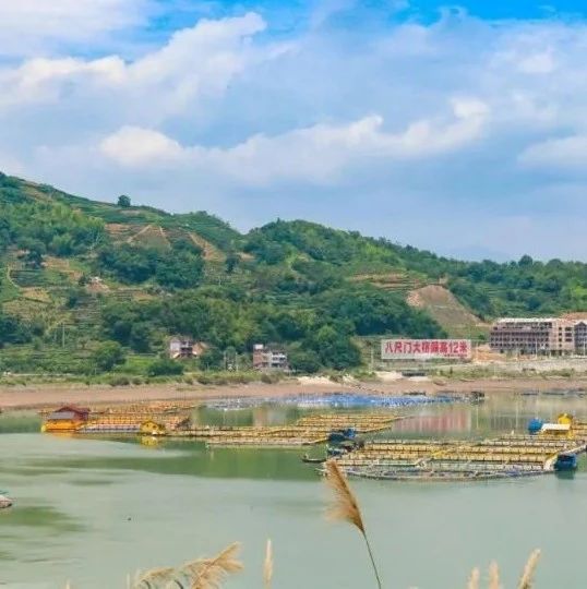 嗨，你去過白巖村嗎？這里正打造美食旅游特色村！