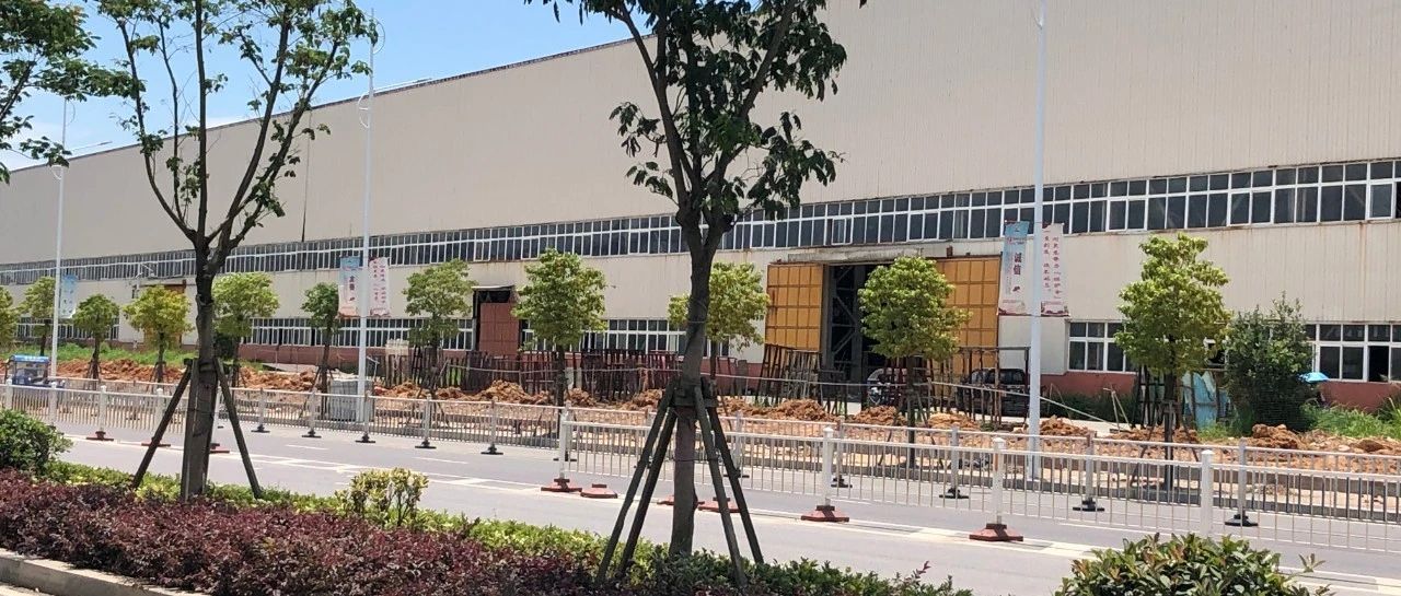 拆墻透綠！這些圍墻內的“秘密花園”露面了