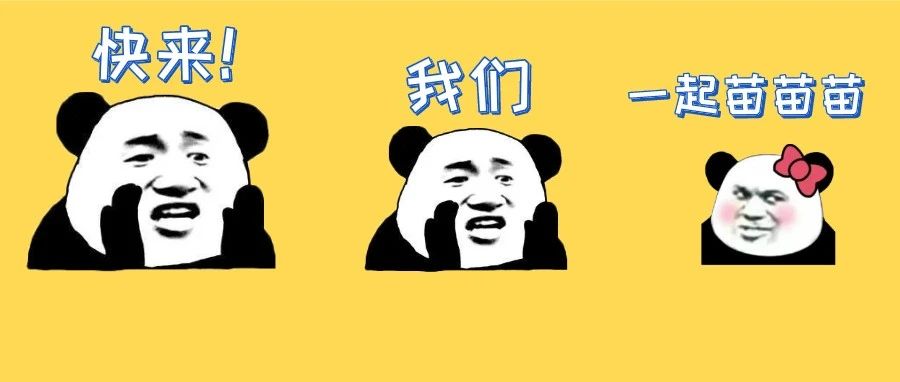 接種疫苗無障礙！福鼎為特殊人群開辟綠色通道