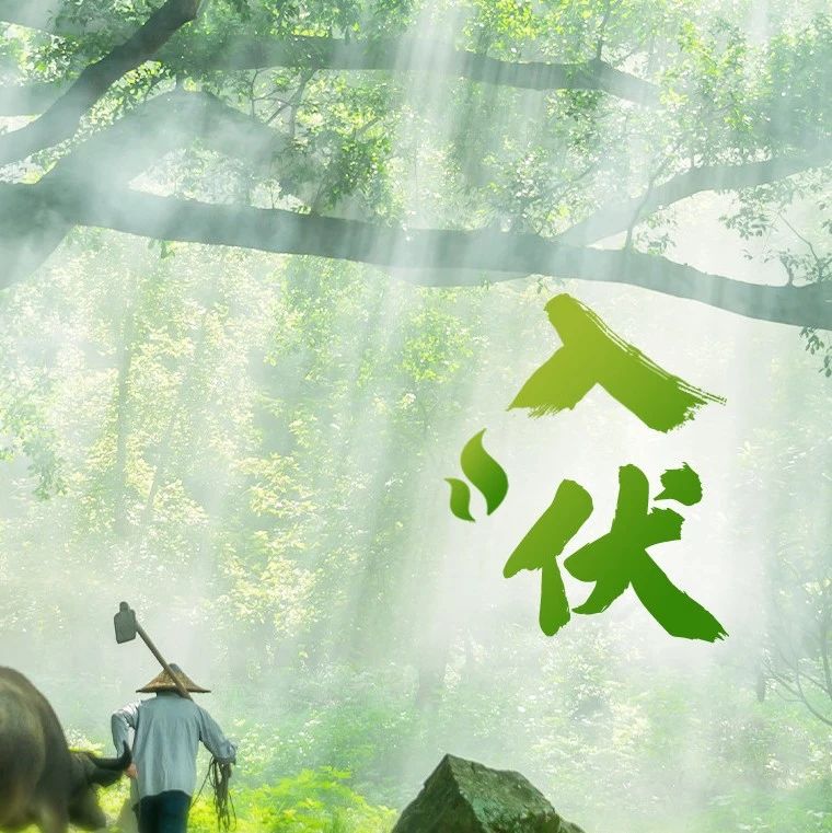 熱?熱?熱?，前方高溫預警！