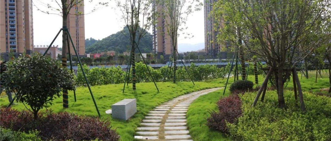 美！福鼎又有9處口袋公園上新，它們在→