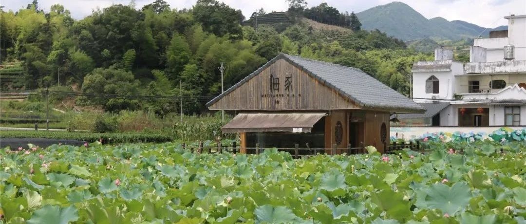 跟我走吧，天亮就出發！柏柳村打卡get√