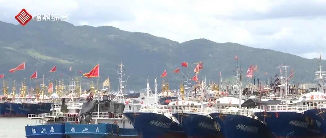 臺(tái)風(fēng)“煙花”逼近，福鼎海上防臺(tái)模式已啟動(dòng)！