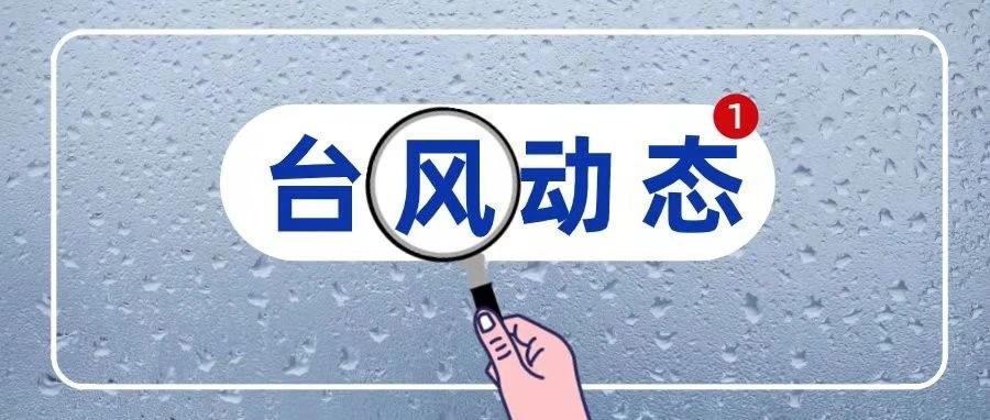 臺風(fēng)“煙花”逼近，福鼎筑牢“防護(hù)結(jié)界”