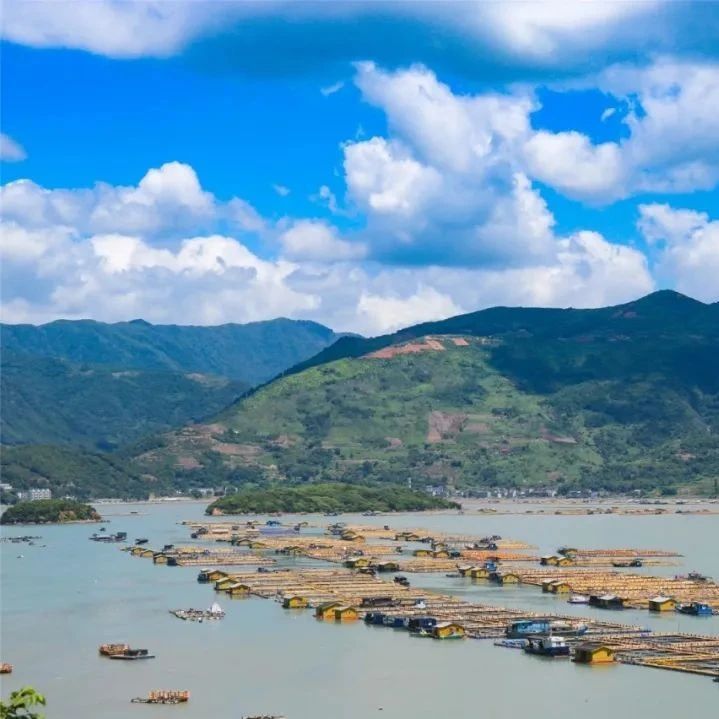 海風習習，選個涼爽的日子去西澳村吧