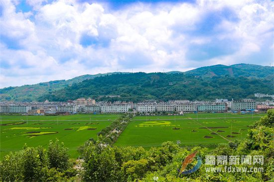店下鎮：做強特色產業 賦能鄉村振興