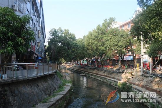 打造美食新地標 秀出老城區新活力