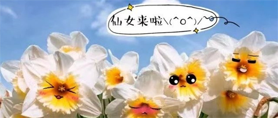 不裝蒜，這一次亮出我的綠色家底！
