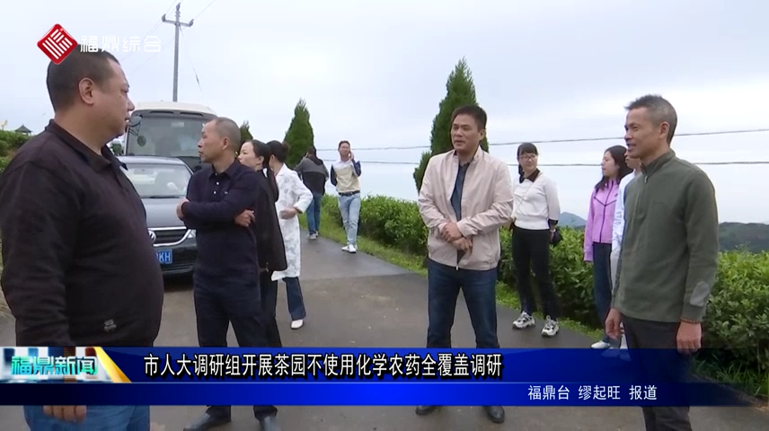 市人大調(diào)研組開展茶園不使用化學農(nóng)藥全覆蓋調(diào)研