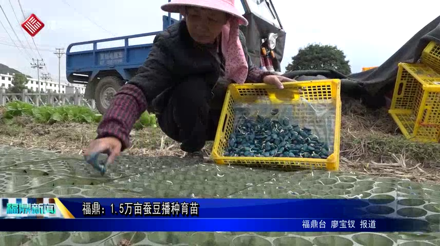福鼎：1.5萬(wàn)畝蠶豆播種育苗