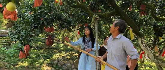 “柚惑”來襲，福鼎吃貨們hold得住嗎？