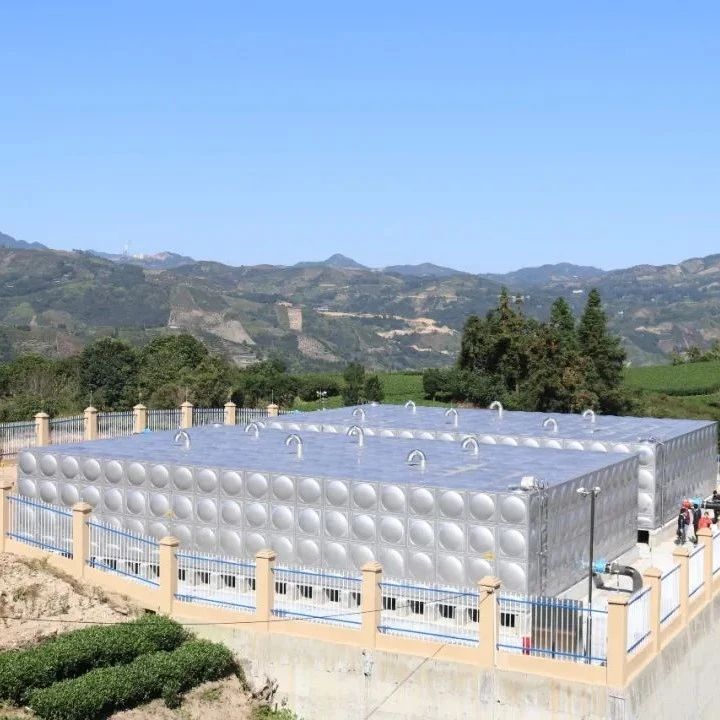 貫嶺片區供水一體化項目通過完工驗收