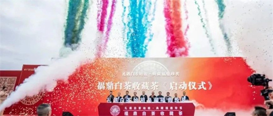 桐山溪畔這場活動，“收藏了”！