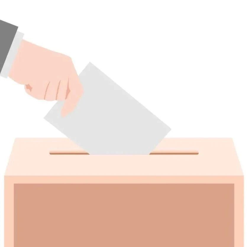 @全市選民，11月30日，請投出你莊嚴神圣的一票！
