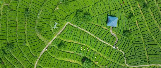 100秒一鏡到底！看福建這五年之生態