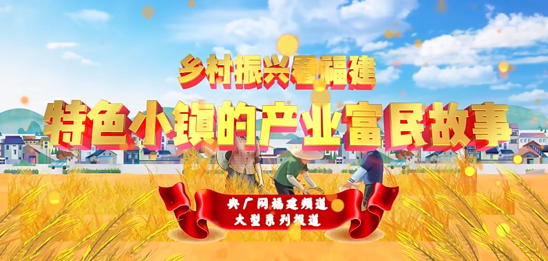 鄉村振興看福建|點頭鎮：探訪“中國白茶第一鎮”