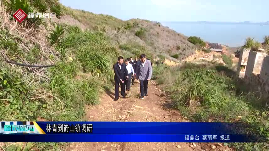林青到崳山鎮(zhèn)調(diào)研