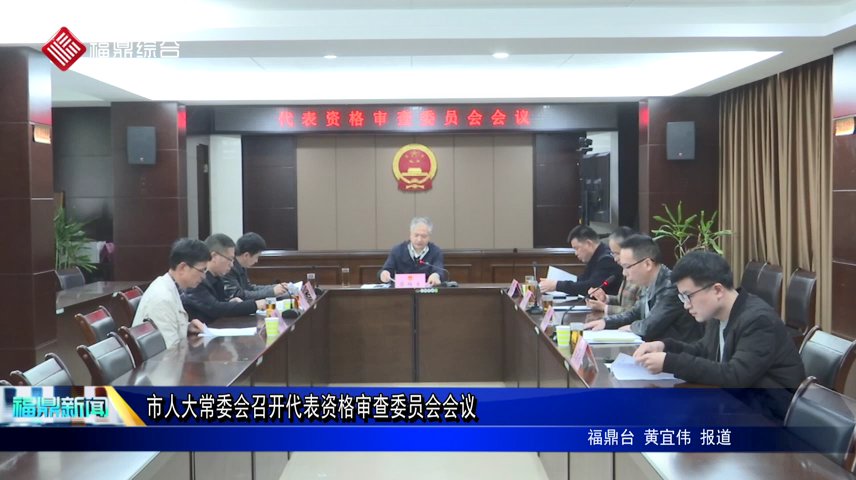 市人大常委會召開代表資格審查委員會會議