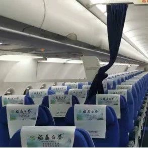 福鼎白茶“上天”啦！