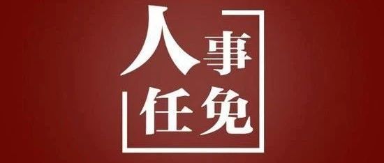 最新！福鼎發布一則人事任職通知