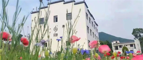 綠盈鄉(xiāng)村丨佳山村：“生態(tài)綠”添彩“畬村美”