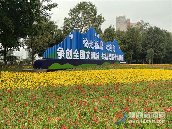 美！18萬盆鮮花扮靚福鼎城市